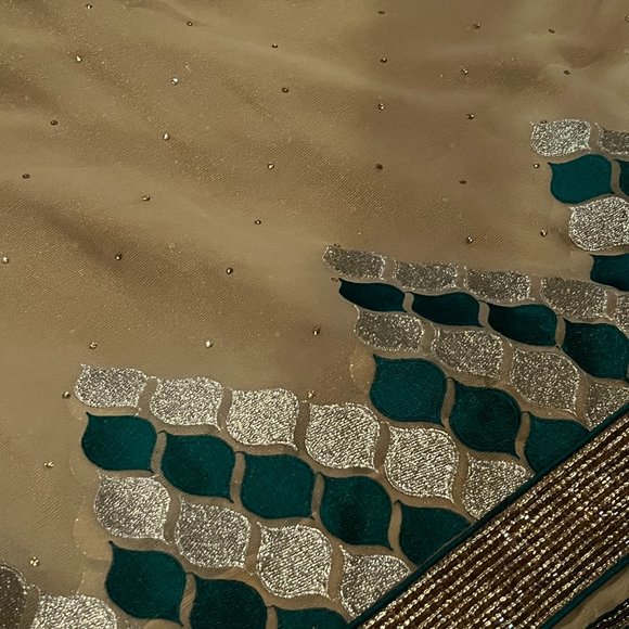 Pure Geogette embroidered designer Rangoli sequin saree - Picture 11 of 12